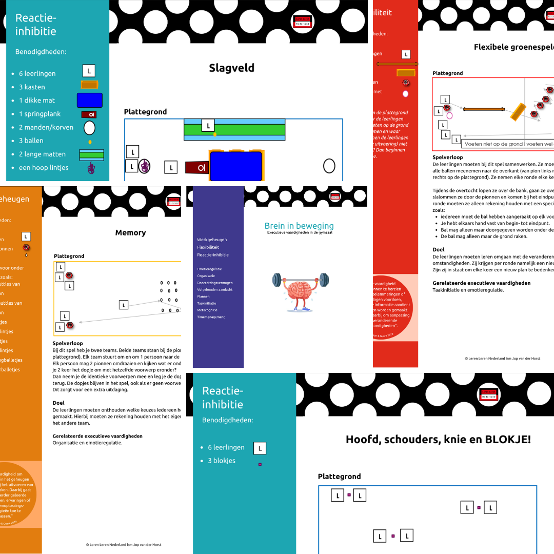 PDF - Brein in Beweging